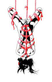 reverse upside down hogtie suspension